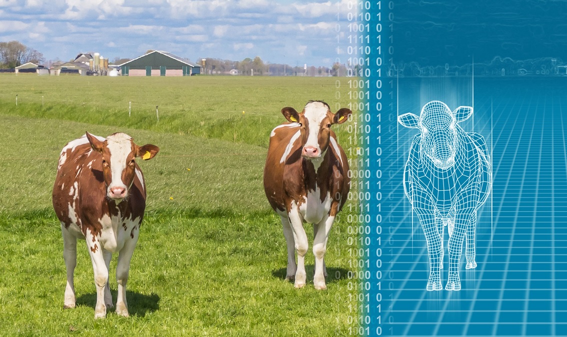 Big Data for Agri-Food: Principles and Tools AIN90010