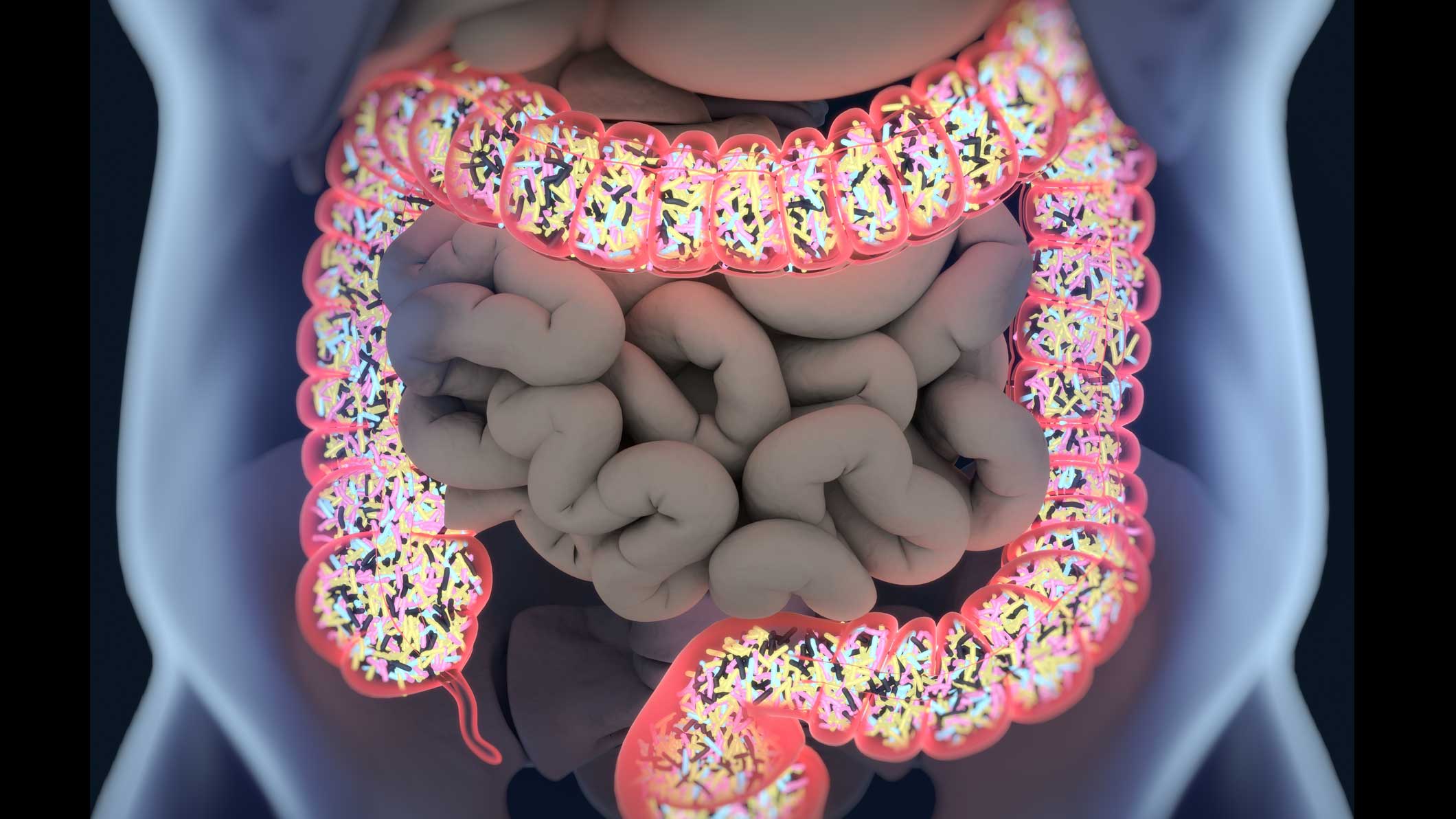 Nutrition and Health: Human Microbiome MIB92300
