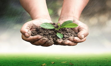 Sustainable Soil Management: Soil for life Soilx